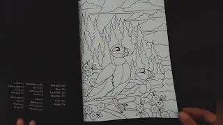 fliptrough color art books color by number canada by eclipse