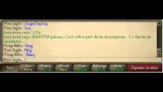 RuneScape 24M Duo sara hilt