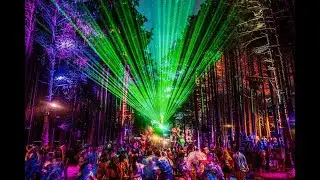 Electric Forest 100%
