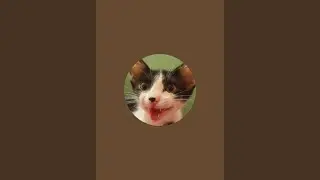 Kulsoom_KK is live!