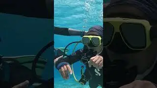 Adaptive Scuba Instructor Training