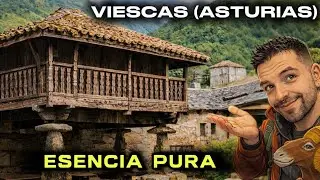 VIESCAS (Asturias) | H&oacute;rreos y Paneras Centenarias en un Pueblo &Uacute;nico