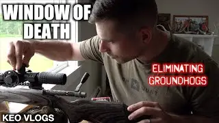 Deleting Nuisance Groundhogs Out The Window