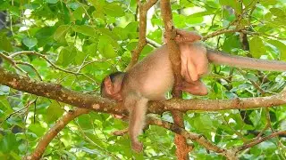 Little baby looks so lonely after her mother abandoned