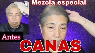 MATIZA TUS CANAS SIN AMONIACOS NI PEROXIDOS
