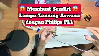 Membuat Sendiri Lampu Tanning Arwana dengan Philips PLL
