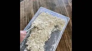 Making BIGA for Pizza Dough - Biga No Stress Method