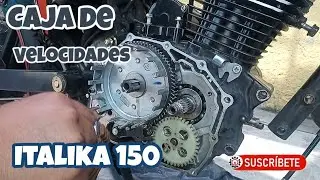 Como reparar la caja de velocidades de mi moto Italika 150