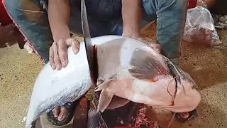 Buyal (Boal) Fish Cutting | Traditional Bangladeshi Fish Processing | Street Food Style