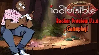 D-Money107 Plays: Indivisible Backer Preview V2.0