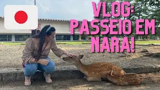 VLOG: PASSEIO EM NARA, VÁRIOS CERVOS, FESTIVAL DE LUZES (TOUKAI) - conheci antiga capital do Japão!