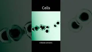 Cells - A blender animation.