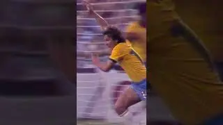 Pure skill from Zico 🇧🇷