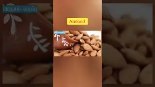 மூளை திறனை அதிகரிக்க என்ன சாப்பிட வேண்டும் வாங்க பார்க்கலாம்🤔(Brain Development)#tamil @arunavisnu