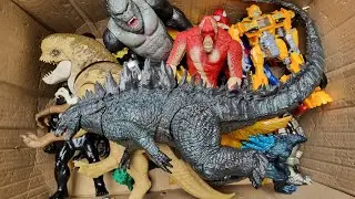 Hunting Monsterverse Godzilla, Dragon, King Kong, Tyrannosaurus Rex, Dragon, Mosasaurus And More