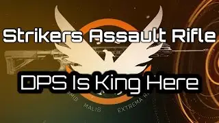 Division 2: The Strikers Meta. Part 2  - Assault Rifle