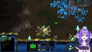Basically How Selen's Protoss Stream Went [Selen Tatsuki | Nijisanji EN]