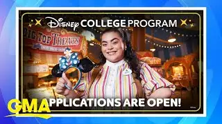 Apply to the Disney College Program for the summer | GMA