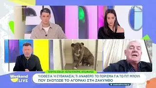 Υιοθεσία ή ευθανασία – Ποιο θα είναι το μέλλον του πιτ μπουλ που σκότωσε παιδάκι στη Ζάκυνθο