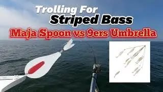 Trolling for Stripers using Maja Spoon vs 9ers Umbrella Rig