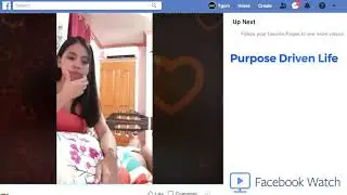 A PURPOSE DRIVEN LIFE