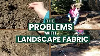 Why I Wont Use Landscape Fabric