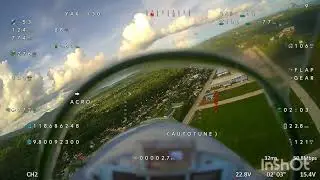 Freewing Yak130