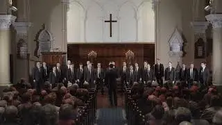 Festival Statesmen - Show Me Where the Good Times Are