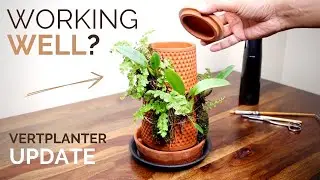Is the hydroponic terraplanter working well? (Vertplanter 3 month update)