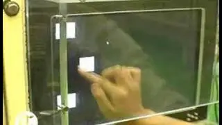 Подсчет обезьян