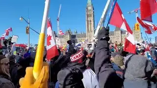 Mental Health Crisis, Canada, Never Too Late