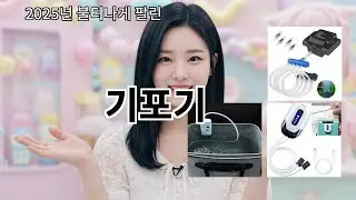 알리 기포기 주변에서 어디서 샀냐고 물어봄