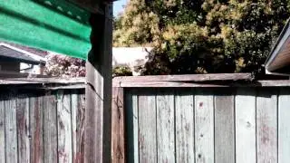 Video035