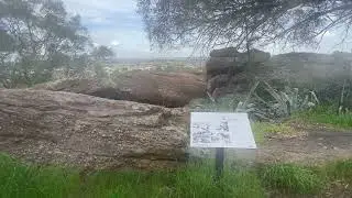 The Griffith hermit&rsquo;s garden
