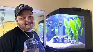We did a  thing and now we have tank #9. 