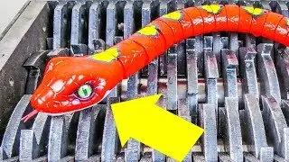 Shredding a Robotic Snake! What's Inside Robo Alive Snake and Lizard Toys? Dinosaur and Mecard Toys!