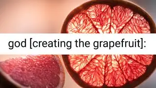 God creating the grapefruit