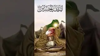 Ya Ali #yaali #update #youtubeshorts #video #shorts #shortvideo #islamic #viralvideo #ytshorts #up