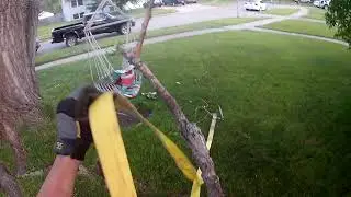 cutting down tree branches with a tow strap