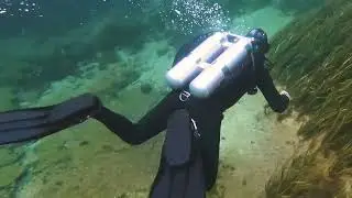 Rainbow River Drift Dive