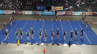 Bellevue Cheer State 2017