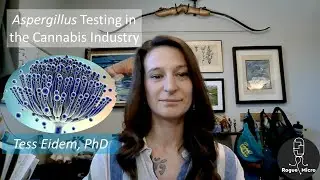 Aspergillus testing
