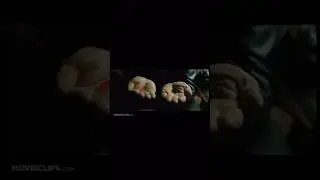 Red Pill Be Like
