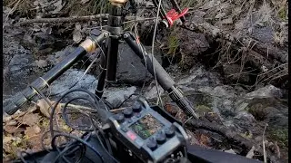 Usual Sounds Slowed Down Pitched Down Extremely. Ultrasonic microphone recording.