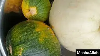 Shokher Bagan November 2022 Bangla Garden Harvesting
