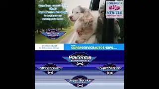 Full Service Auto & Fleet Repairs in Placentia