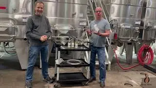 August Update from The Wine Foundry. Veraison, Chardonnay, Labels, Bottling & Summer Shipping.