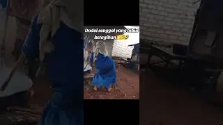 pembuat dodol yang viral