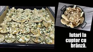 Gateste Iutari, bureți de lapte (ciuperci de lapte) in acest fel si vor fi o bunătate! ❤️