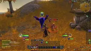No commentary WoW challenge run. No Map, No Way points. Solo self found.